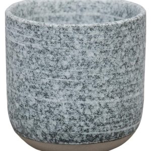 Чашка чайная P.L. Proff Cuisine Stone Untouched Taiga 81221881 250 мл