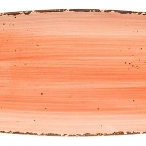 Блюдо прямоугольное P.L. Proff Cuisine Organica Spicy 81223094 305х125 мм