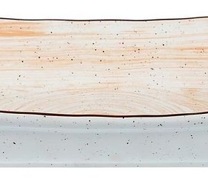 Блюдо прямоугольное P.L. Proff Cuisine Desert Fusion 81223018 300х195 мм с ручками