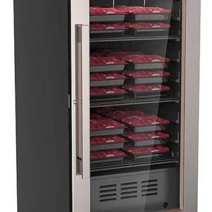 Шкаф для созревания мяса Hurakan HKN-MA230