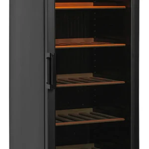 Винный шкаф TEFCOLD CPV1380E