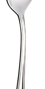 Ложка столовая Pintinox Cardiff 1330M001