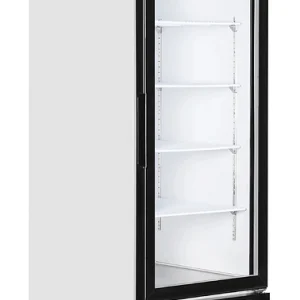 Шкаф морозильный TEFCOLD LGF2500 со стеклом
